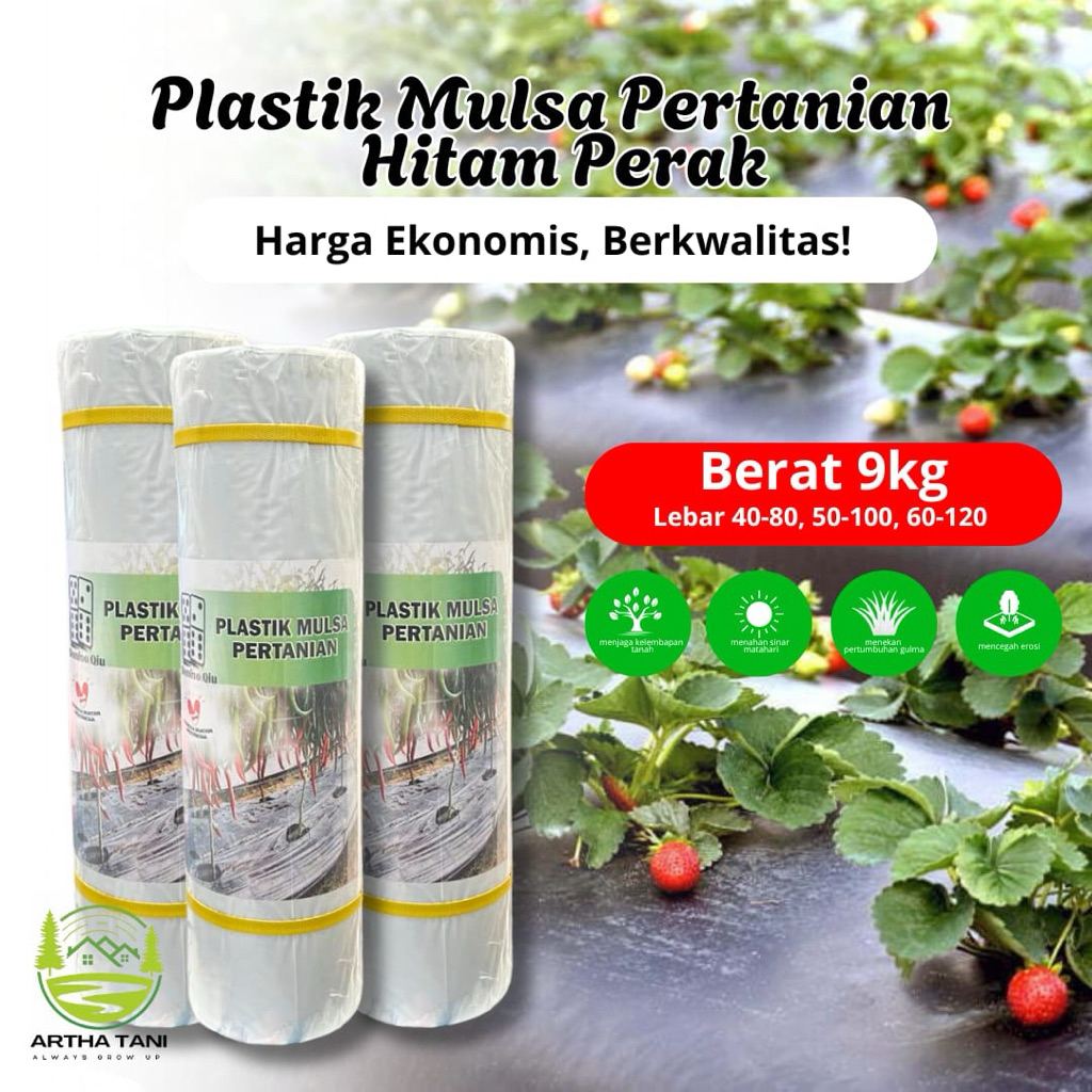 Per Roll Mulsa Hitam Perak Lebar 60cm-120cm/Mulsa Hitam Perak 1 Roll Panjang 250meter/Mulsa Hitam Pe