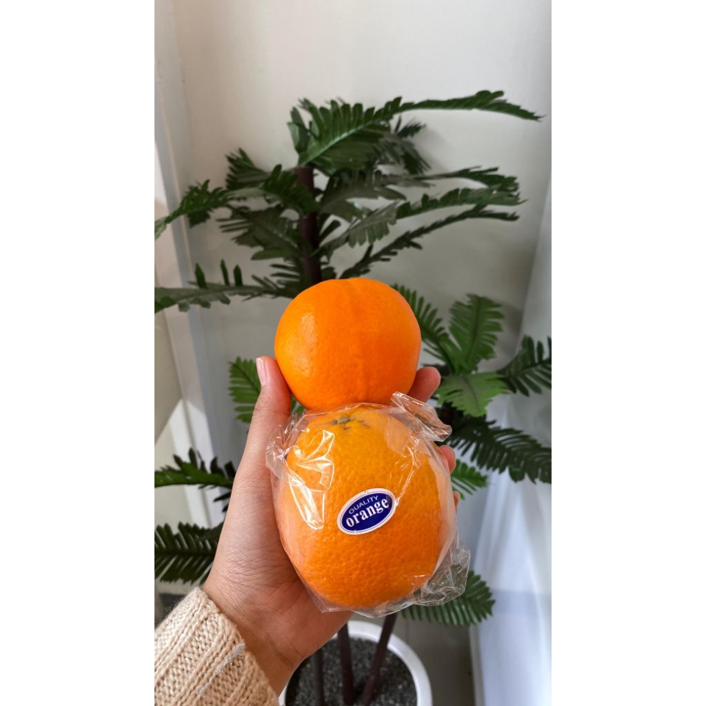Jeruk Sunkist