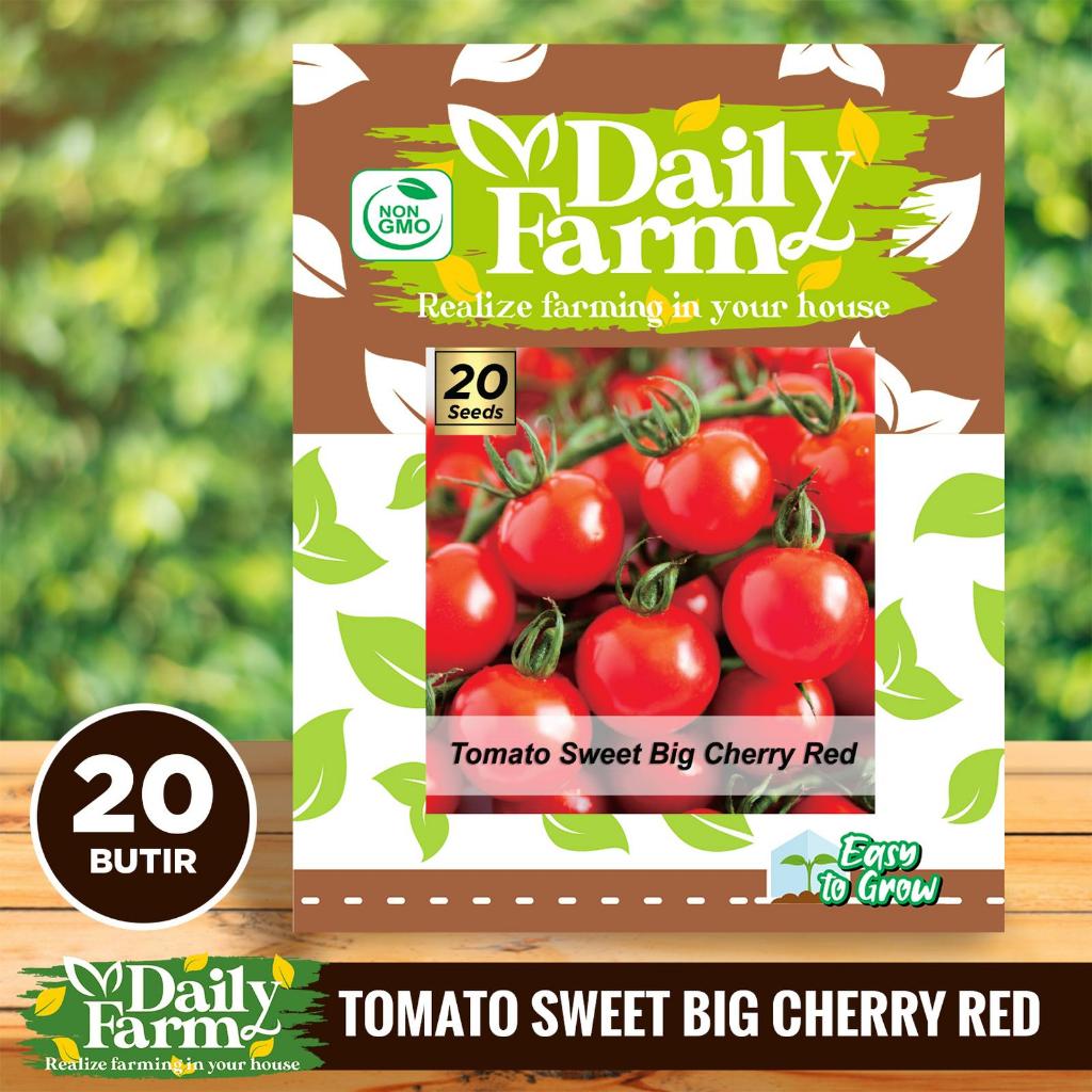 DF TOMATO SWEET BIG CHERRY RED - Bibit Tomat Cherry - Benih Tomat Sweet Big Cherry Red