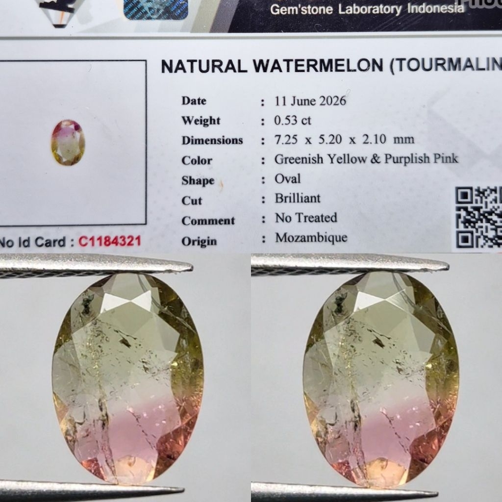 Natural Watermelon Tourmaline NoTreated NTD NH NTE Top Quality HQ Hot item Bicolor Turmaline Memo La