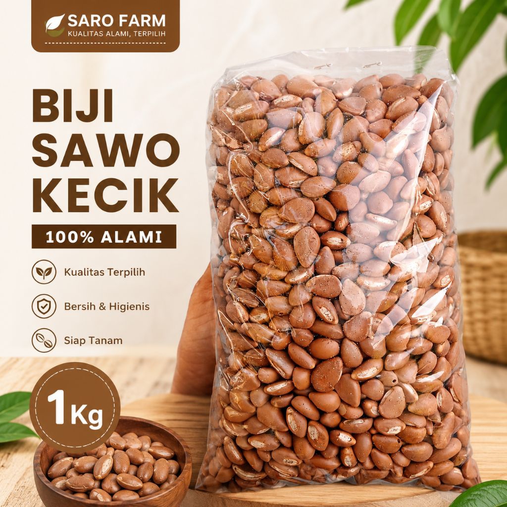 Biji sawo Kecik kering - biji dakon - biji congklak - bahan kerajinan