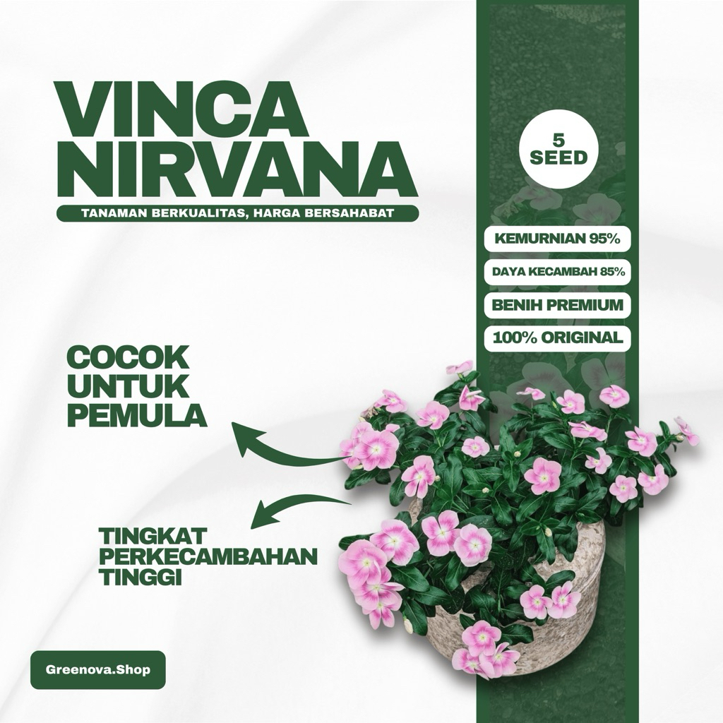 Benih Vinca Nirvana Premium (5 Biji)