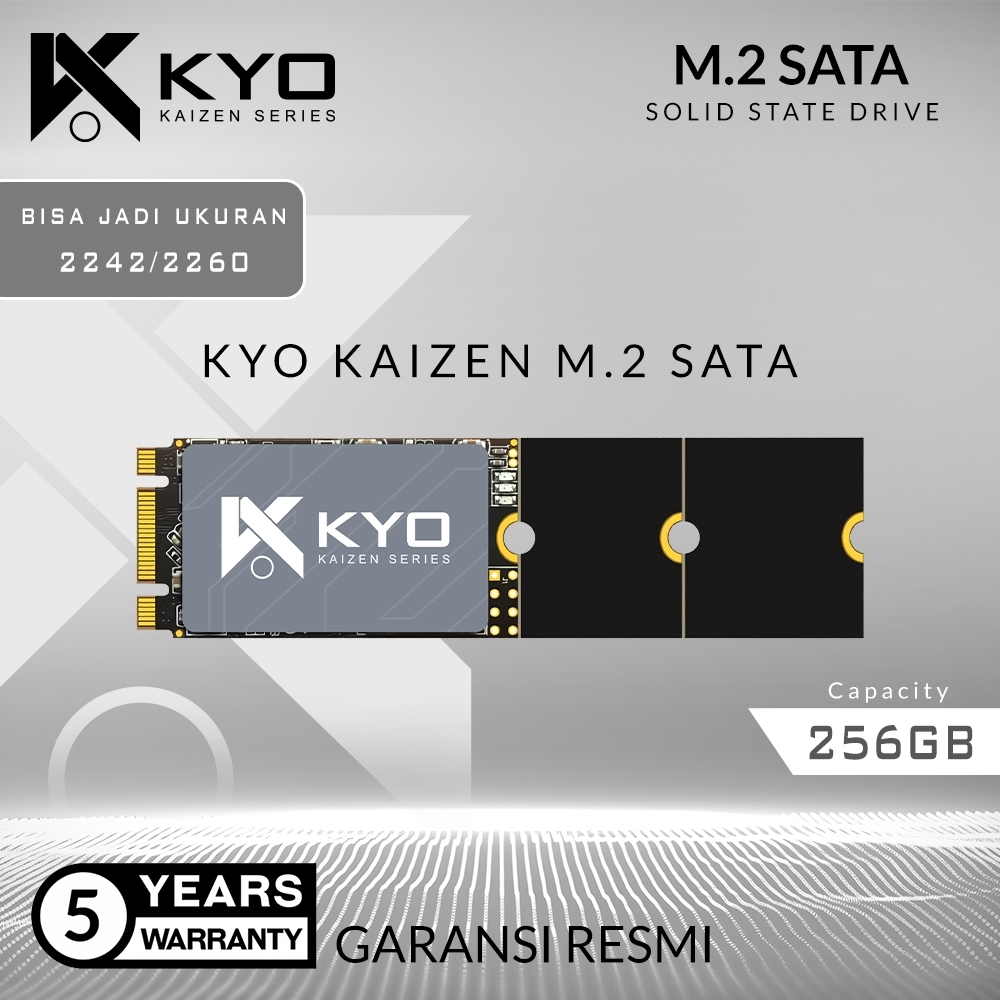 SSD M2 SATA 256GB 2242 M.2 SATA / M2SATA KYO KAIZEN