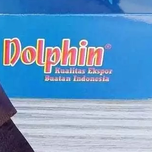 dolphin sandal