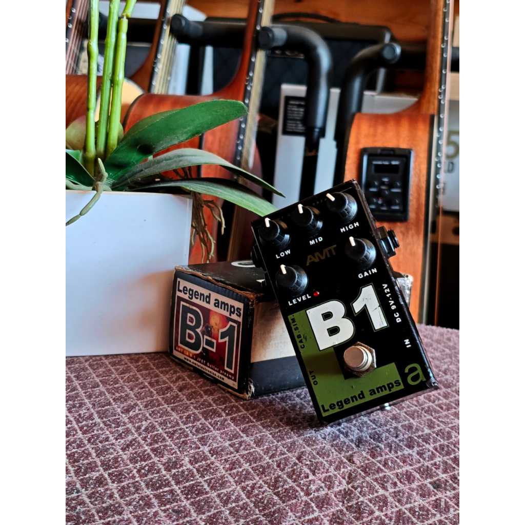 AMT B1 LEGEND AMP PEDAL USED/AMT B1 LEGEND AMP PEDAL USED