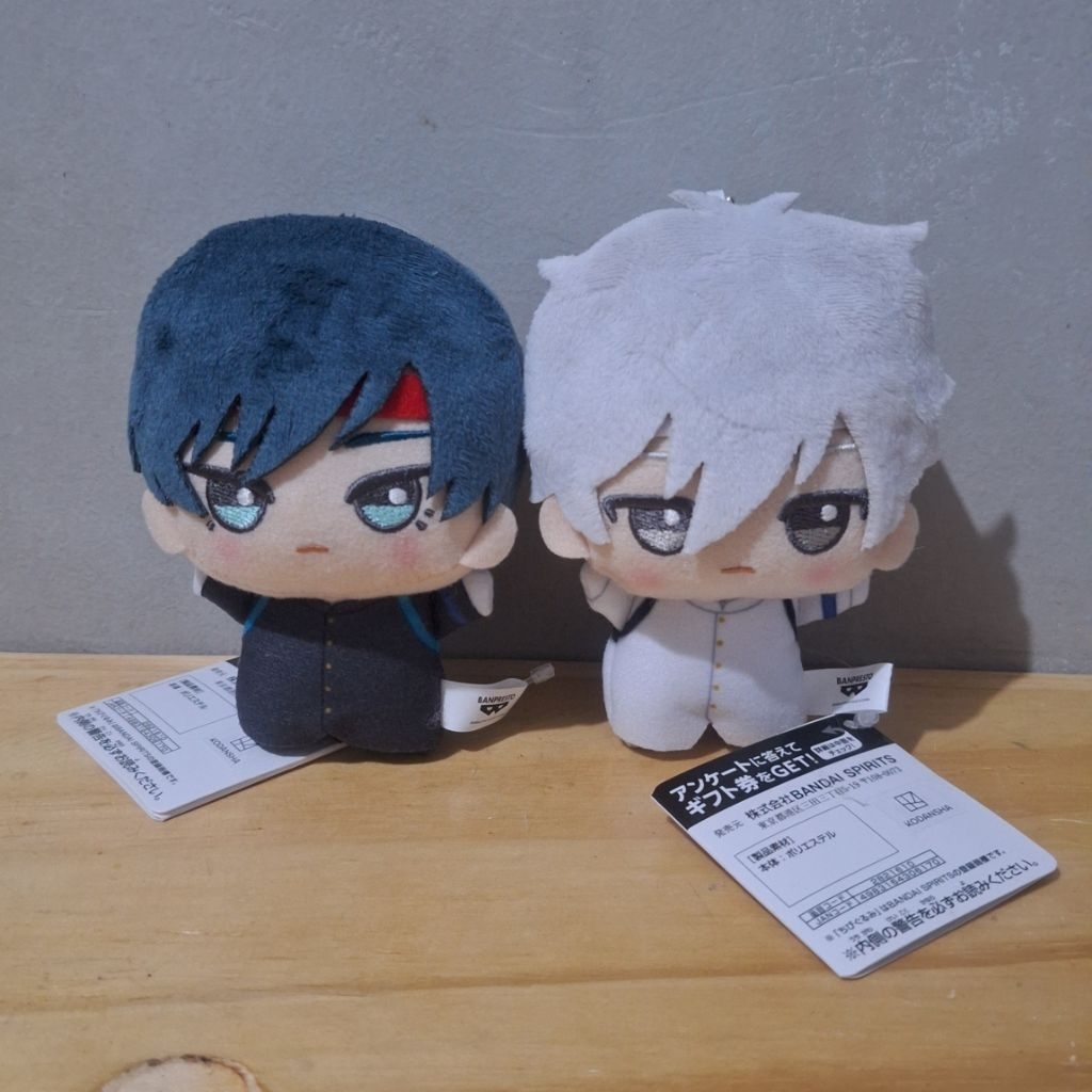 [STOK TERBATAS] Official Chibigurumi Bluelock Cheer Nagi Itoshi Rin + ADMIN [Baca Deskripsi]