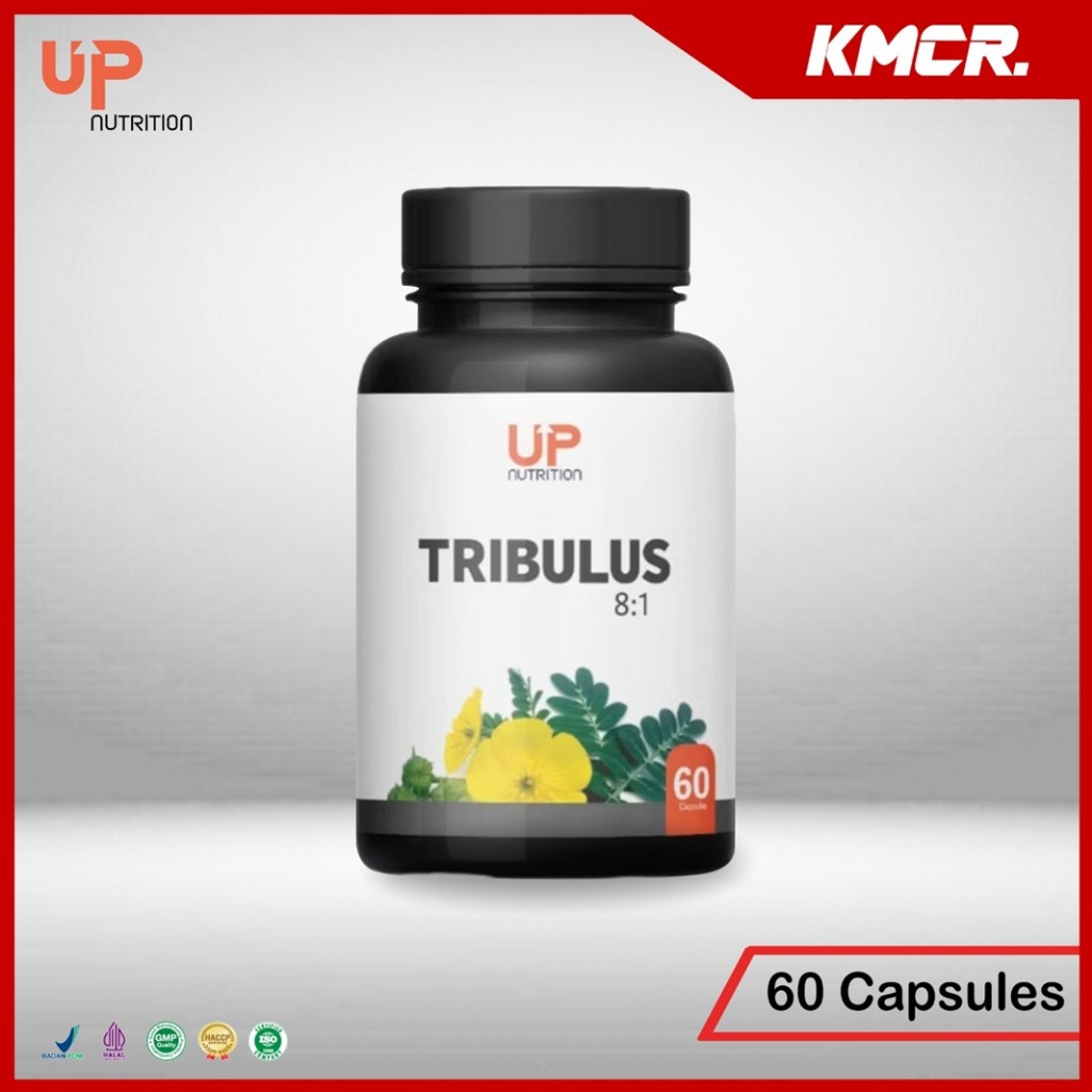 UP NUTRITION TRIBULUS 60 CAPSUL TESTOSTERON TESTO BOOSTER  - KMCR NEXTLEVEL