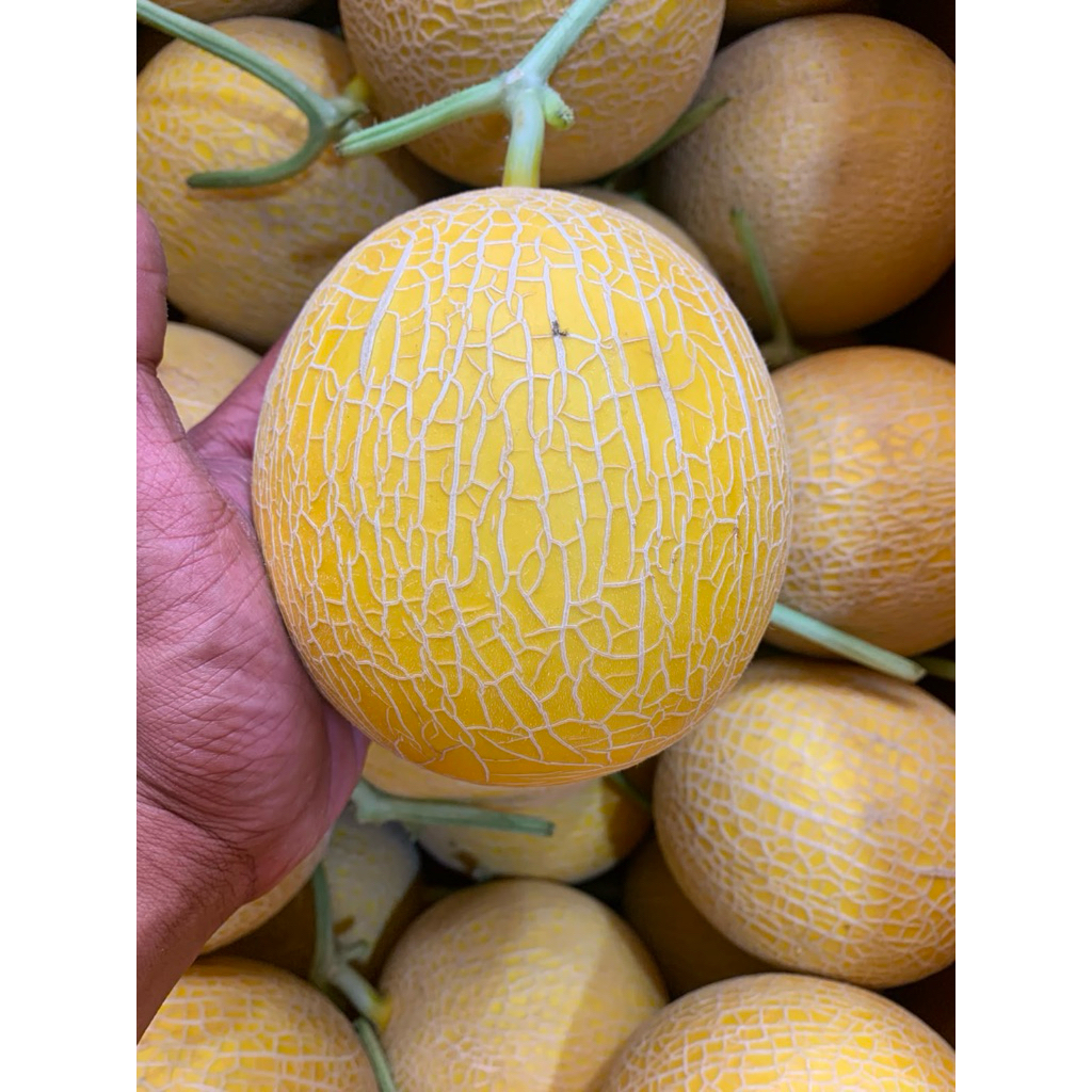 melon inthanon