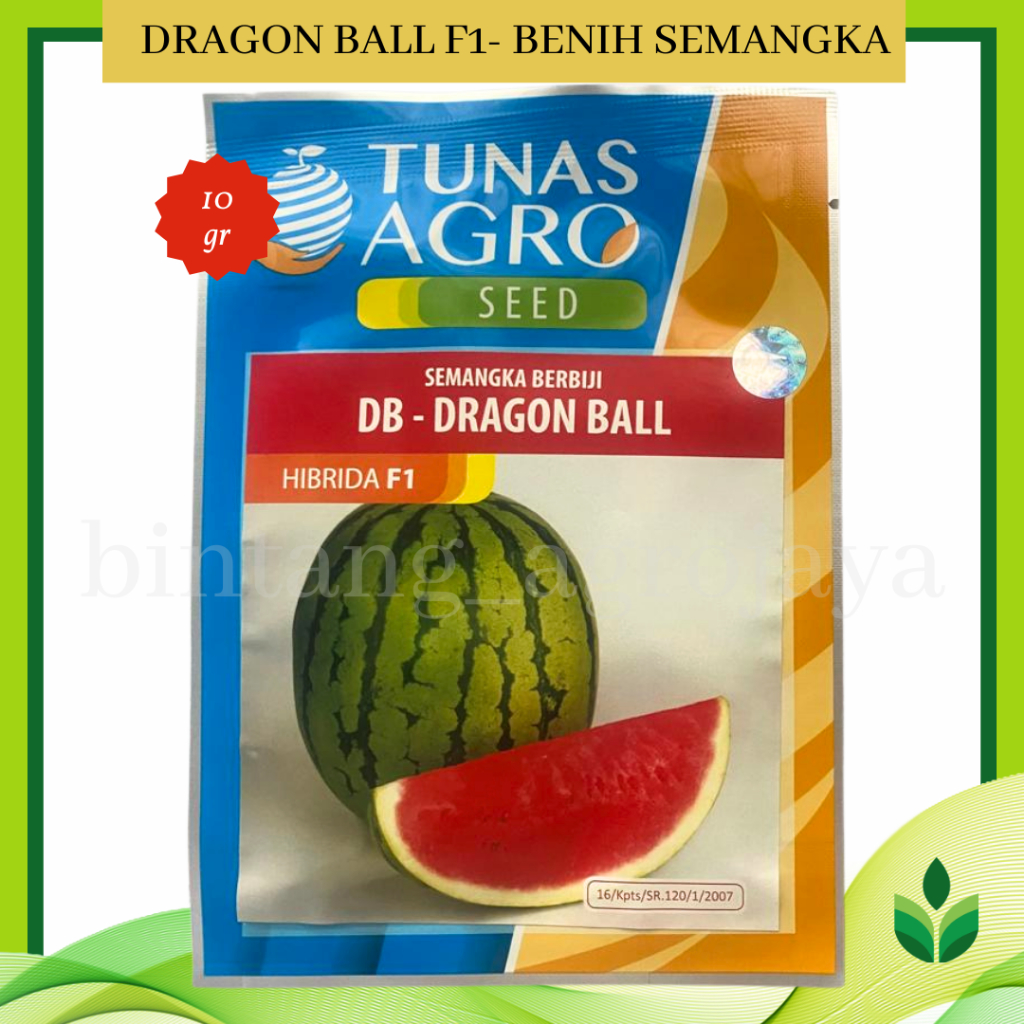 Benih Bibit Semangka Berbiji Dragon Ball F1 10 gr - Tunas Agro
