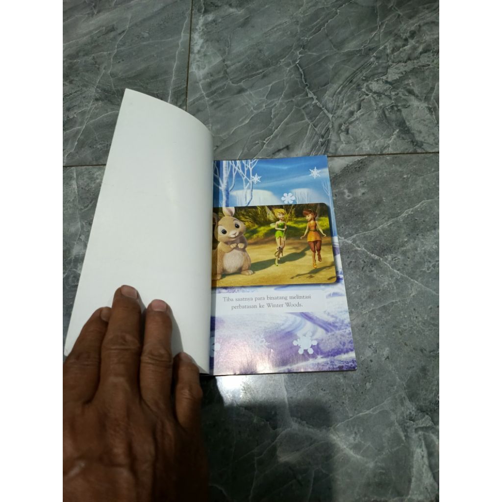 FAIRIES SECRET of the WINGS Rahasia Sayap Peri Kembar-Disney-D1