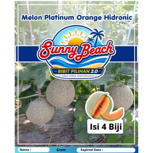 Bibit Pilihan Tumbuh Terbaik Panen Memuaskan 2.0 | Bibit Melon Platinum Orange Hidronic| Biji Benih 