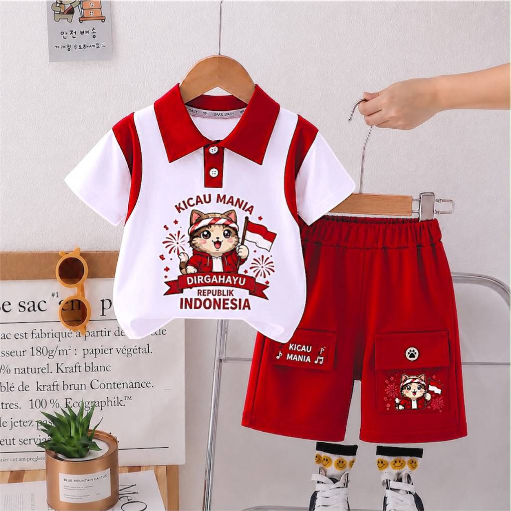 setelan baju anak laki laki usai 1- 5 tahun t erbaru motif POLLO DHEP terbaru terlaris