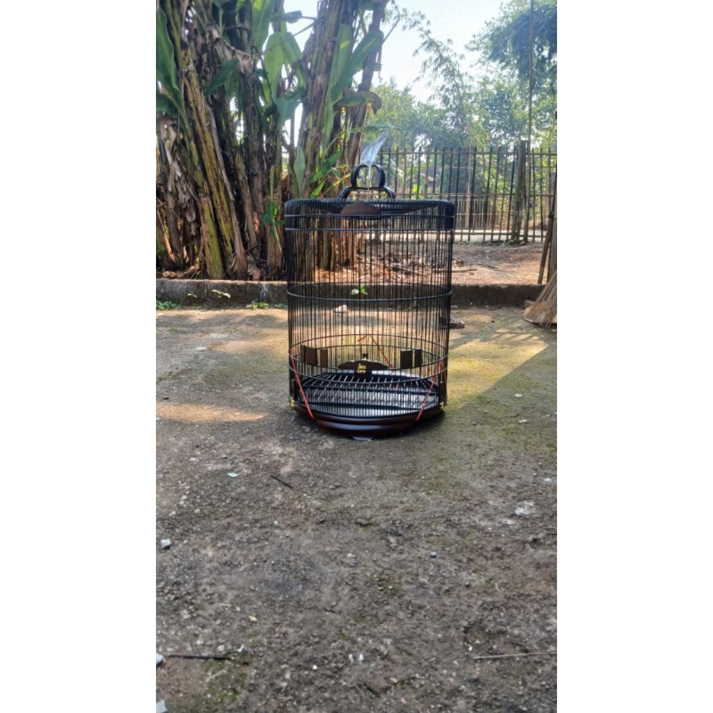SANGKAR MURAI FINISHING TEBOK KAYU