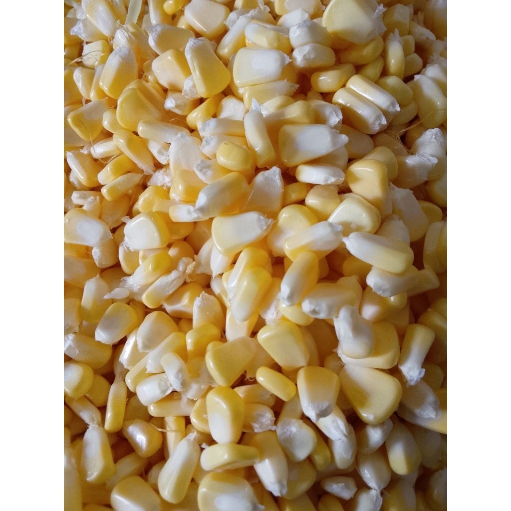 Jagung Bakar, Jagung Manis, Jagung Manis Bakar, Jagung
