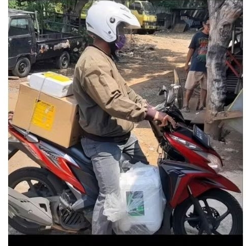 Disinfektan Terminator Repacking 1 Liter Untuk Basmi Jamur, Virus dan Bakteri