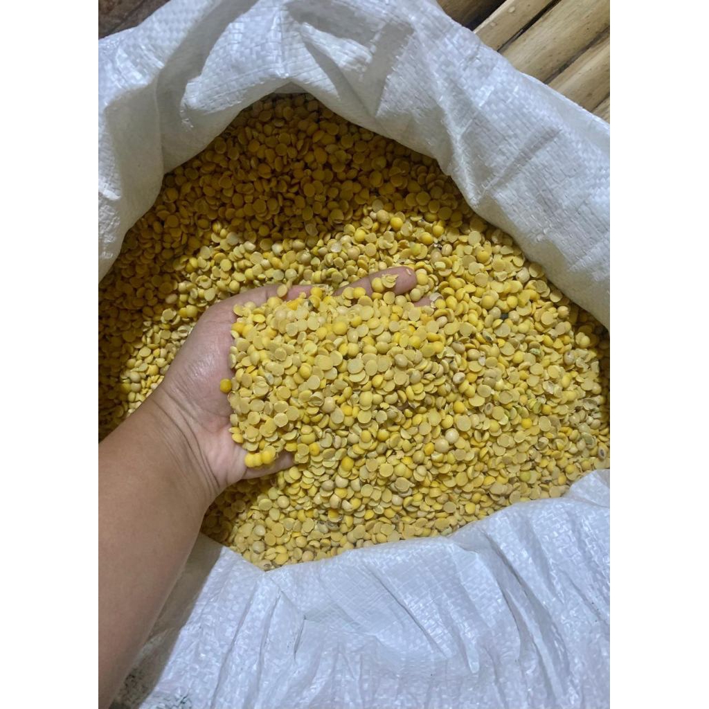 KEDELAI KUPAS ASLI LUMAJANG