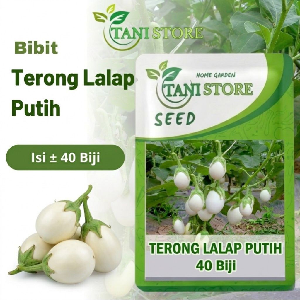 Benih Bibit Terong Putih lalap Unggul Repack ±40 Biji
