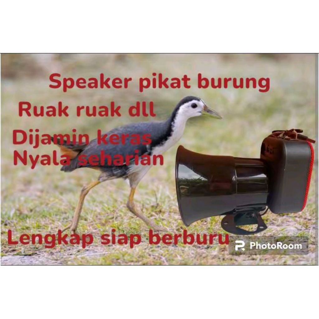 Speaker Pikat Burung Ruak Ruak, Ayam Hutan dll