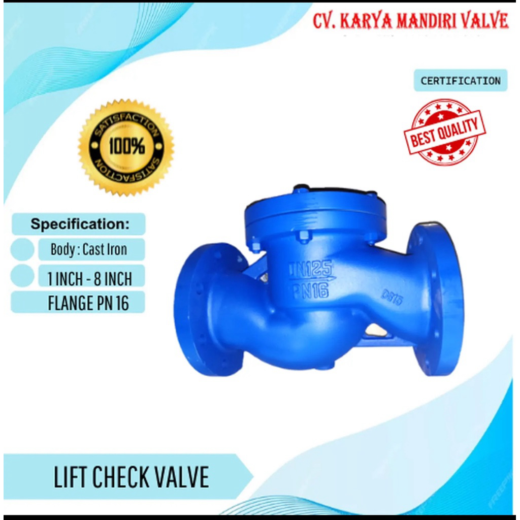 LIFT CHECK VALVE 5" Cast Iron Flange PN16
