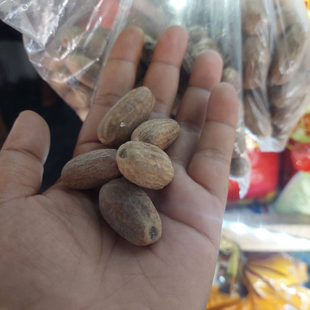 pala masakan-biji pala 5 pcs-biji pala