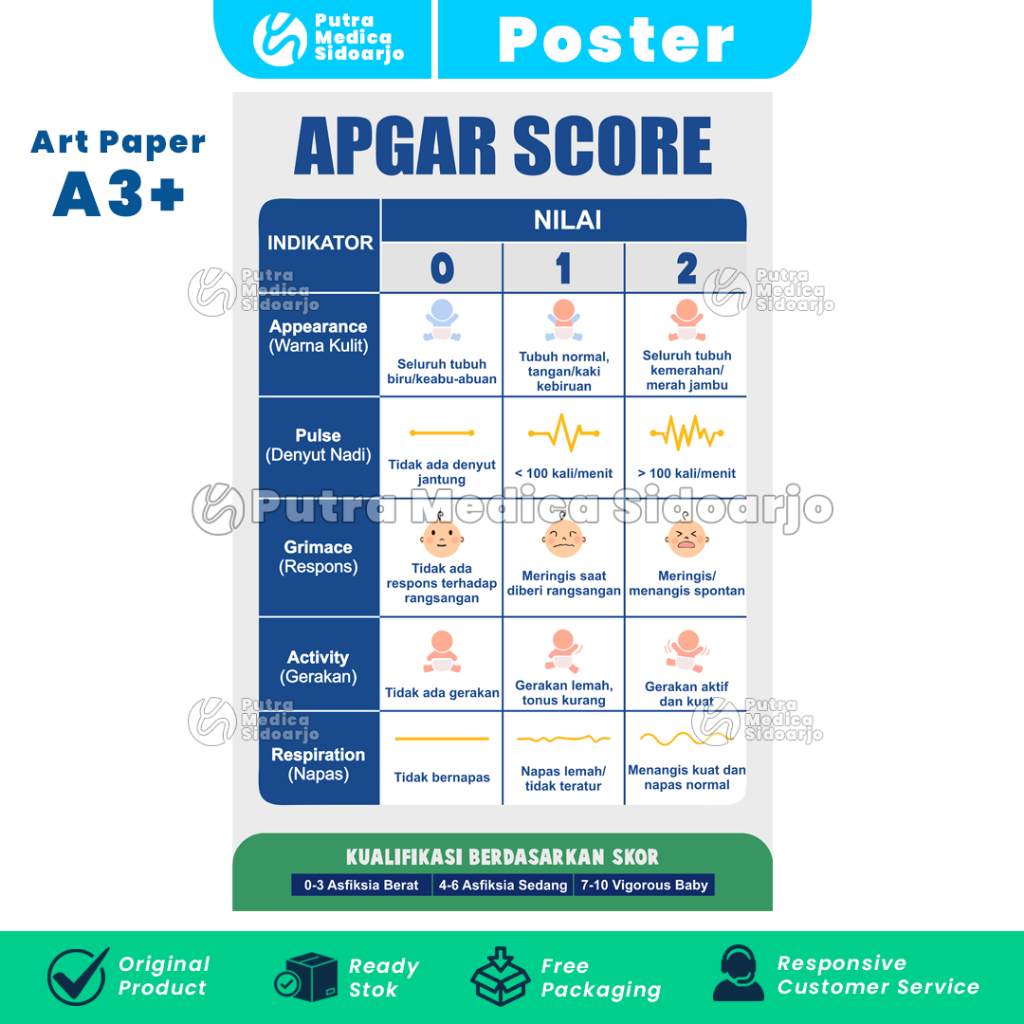 Poster Kesehatan APGAR Score A3+ / Tes Penilaian Bayi Baru Lahir / Skor Asfiksia