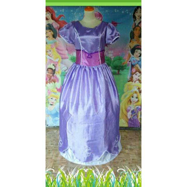 Princess Sofia Dewasa/Baju Kostum Princess Sofia/Cosplay Princess Disney