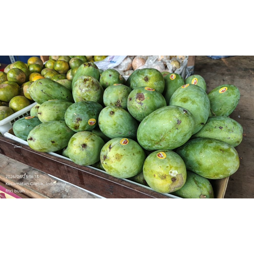mangga gadung