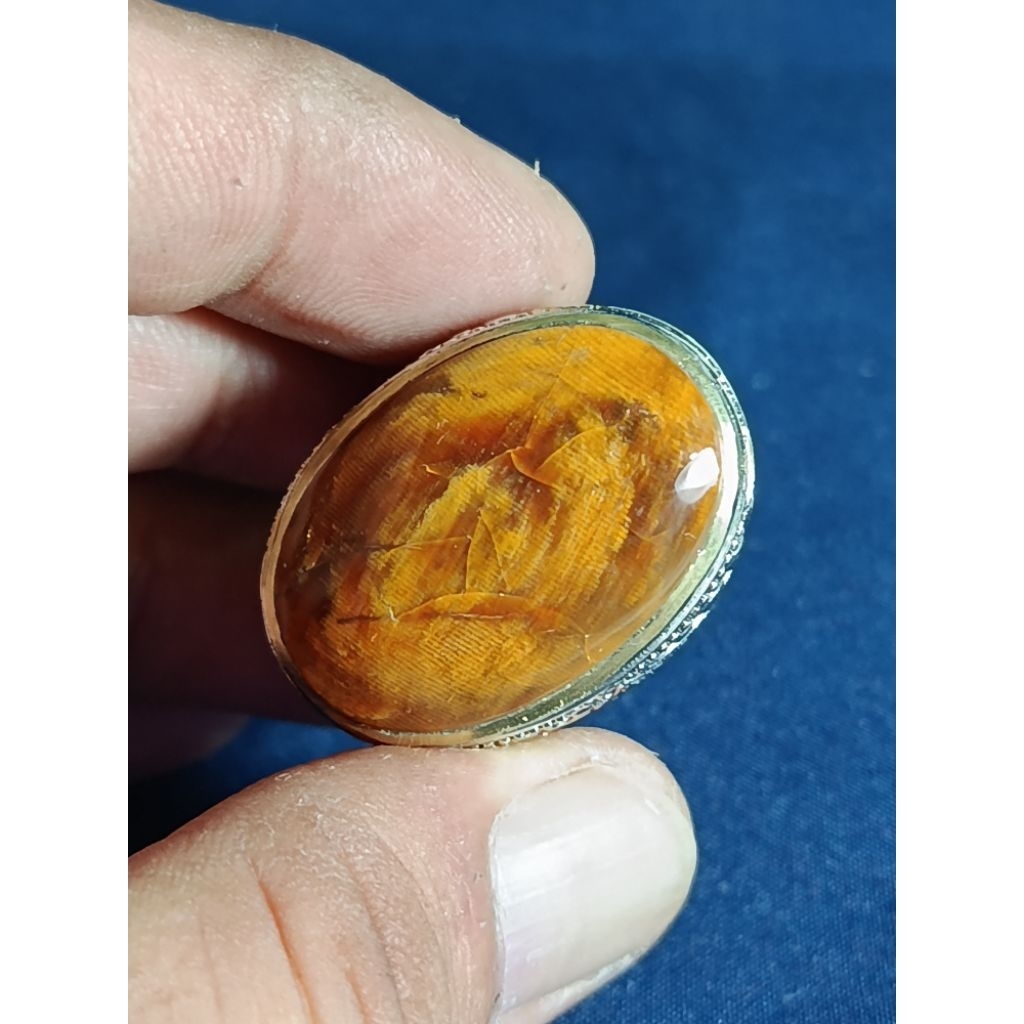 Natural Asem Petrified Wood, GOLD / Batu Fosil Kayu Asem, EMAS, SHINCHAN