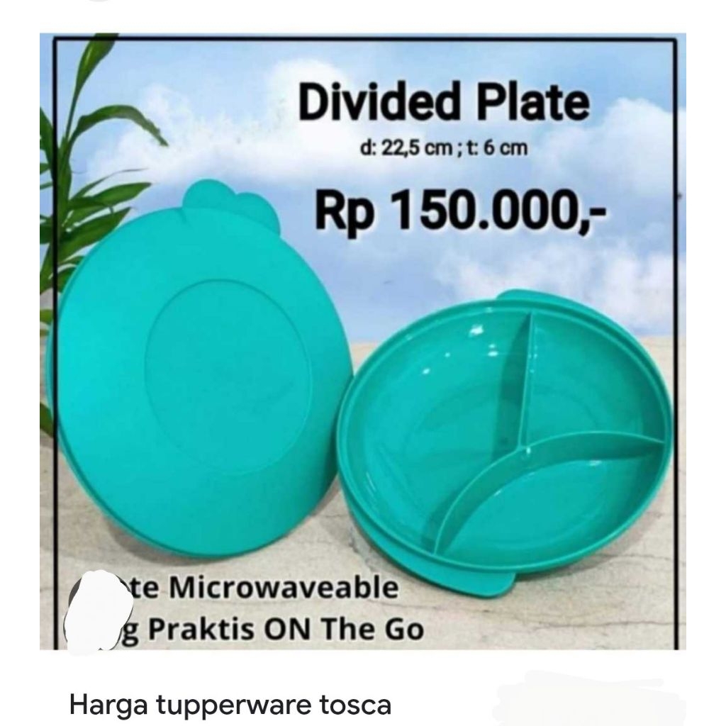 Tupperware Deviden plate set/bekal anak-anak