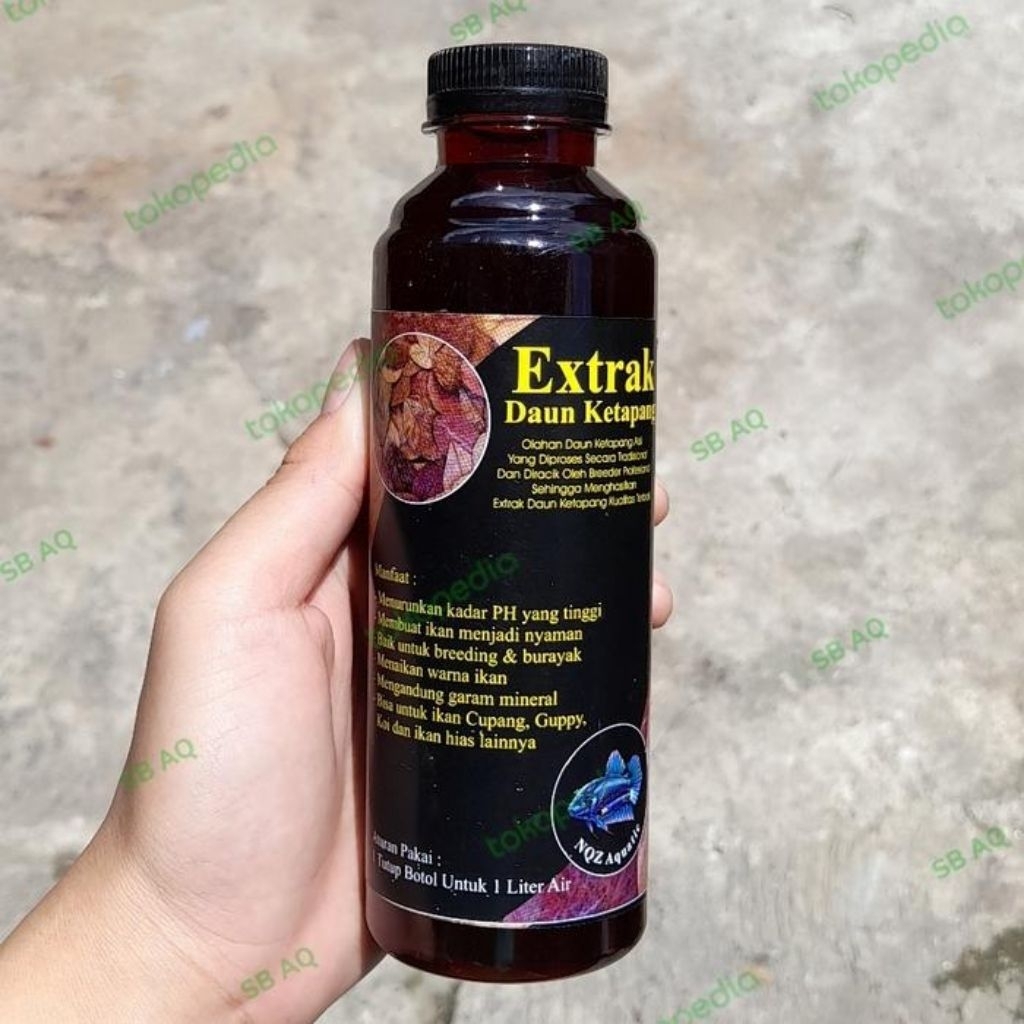 extra daun ketapang/ air ketapang