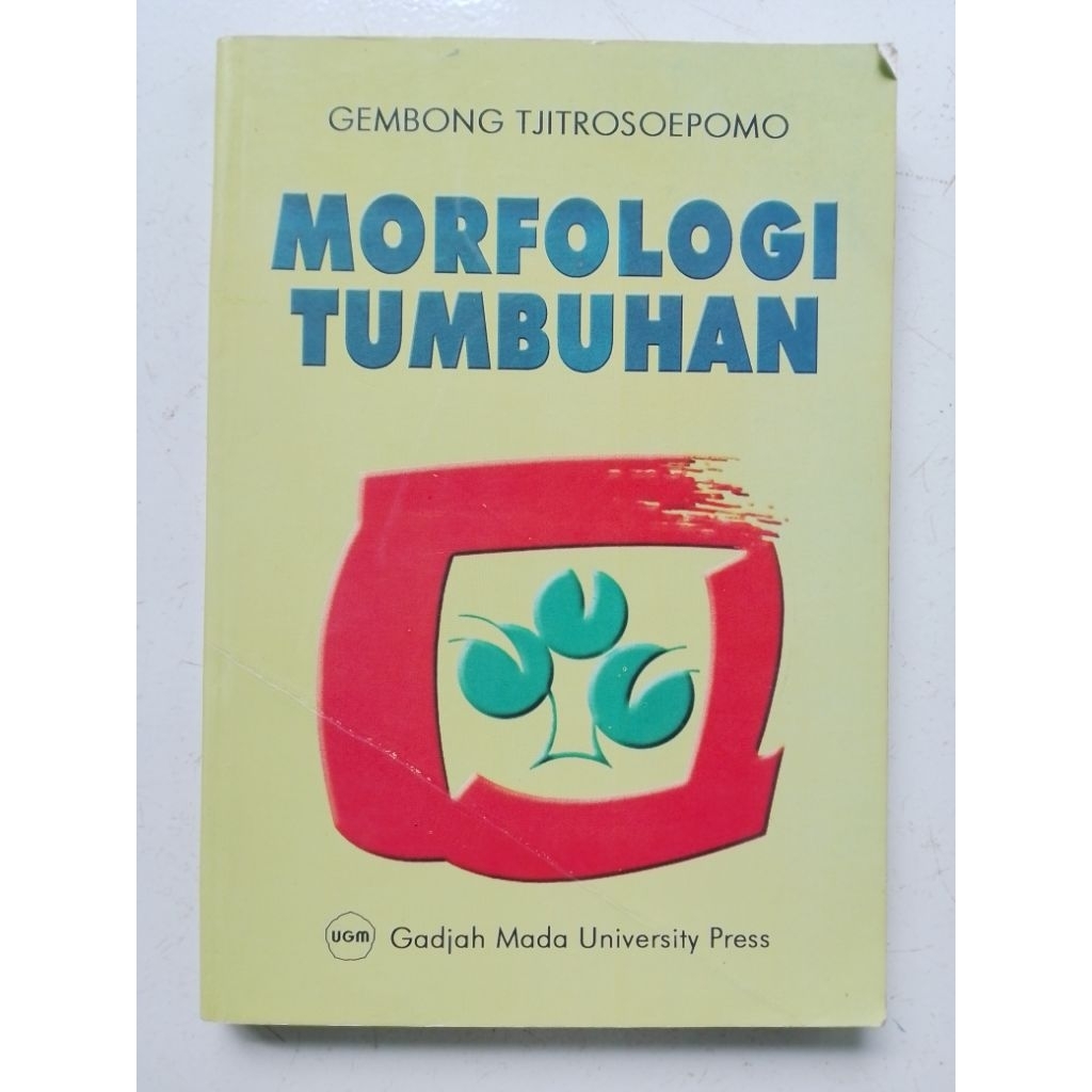 MORFOLOGI TUMBUHAN