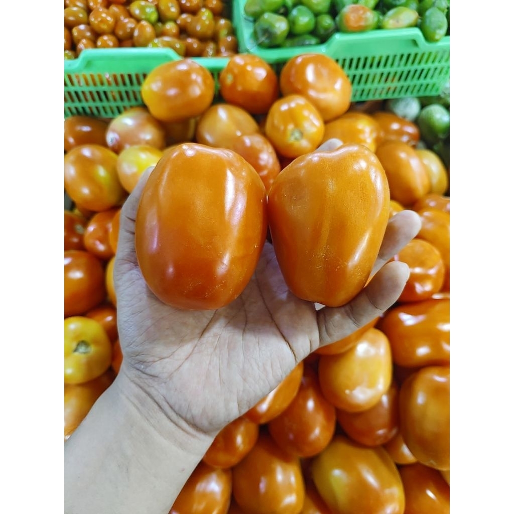 tomat apel | tomat tw | 500gr