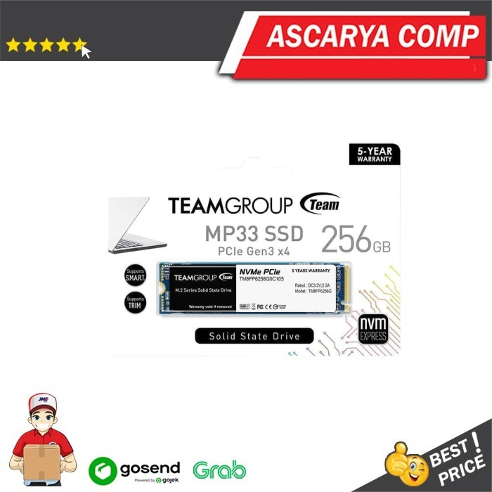 TEAM MP33 M.2 PCIe NVME SSD 256GB [TM8FP6256G0C101]