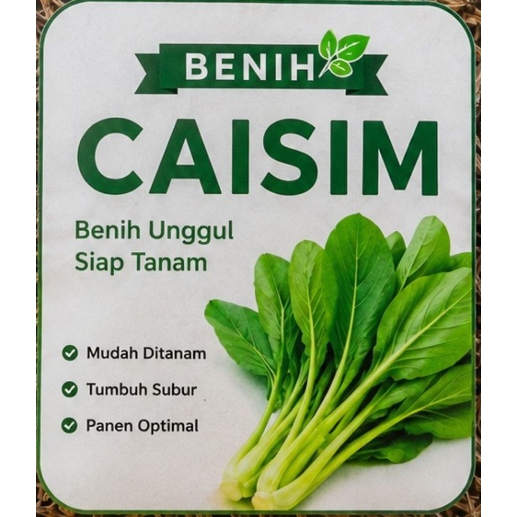Bibit sayur Caisim