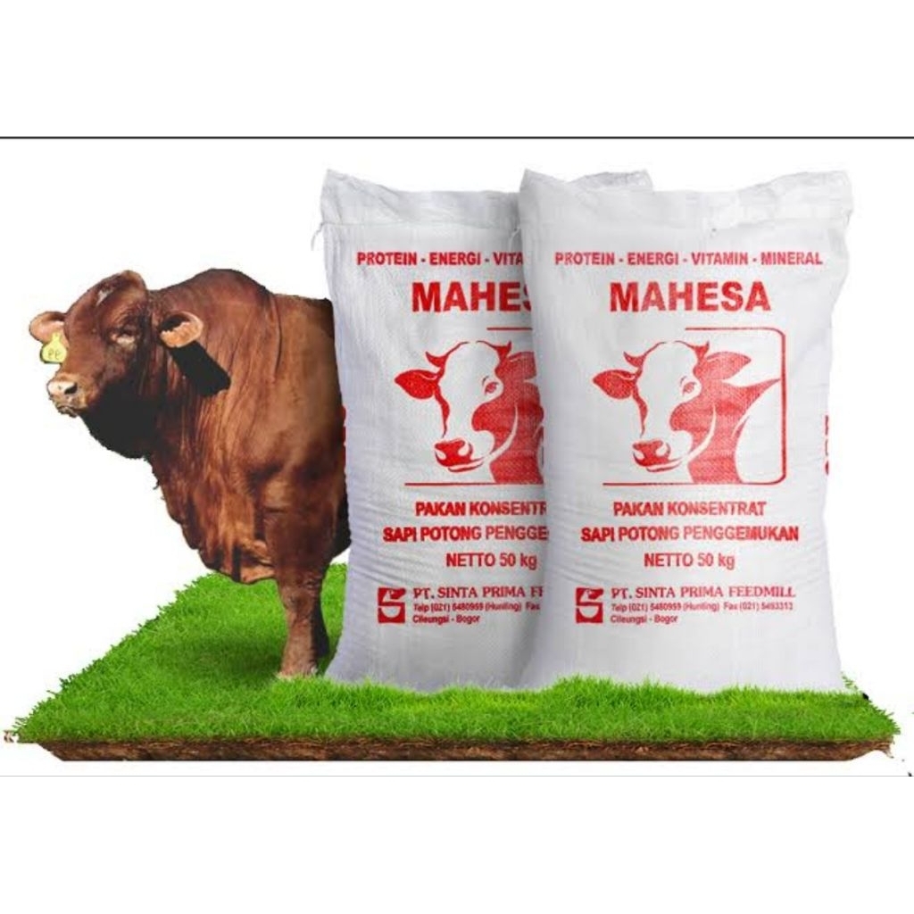 Sinta mahesa pakan sapi pelet