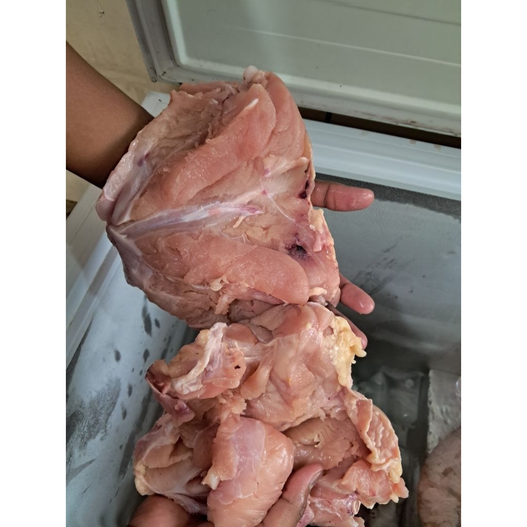 fillet dada / bld ayam potong fresh