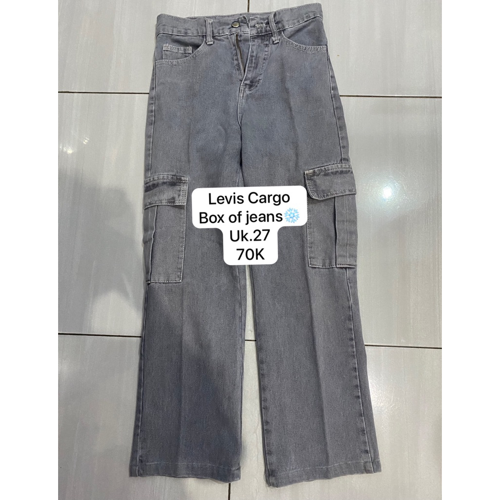 levis cargo