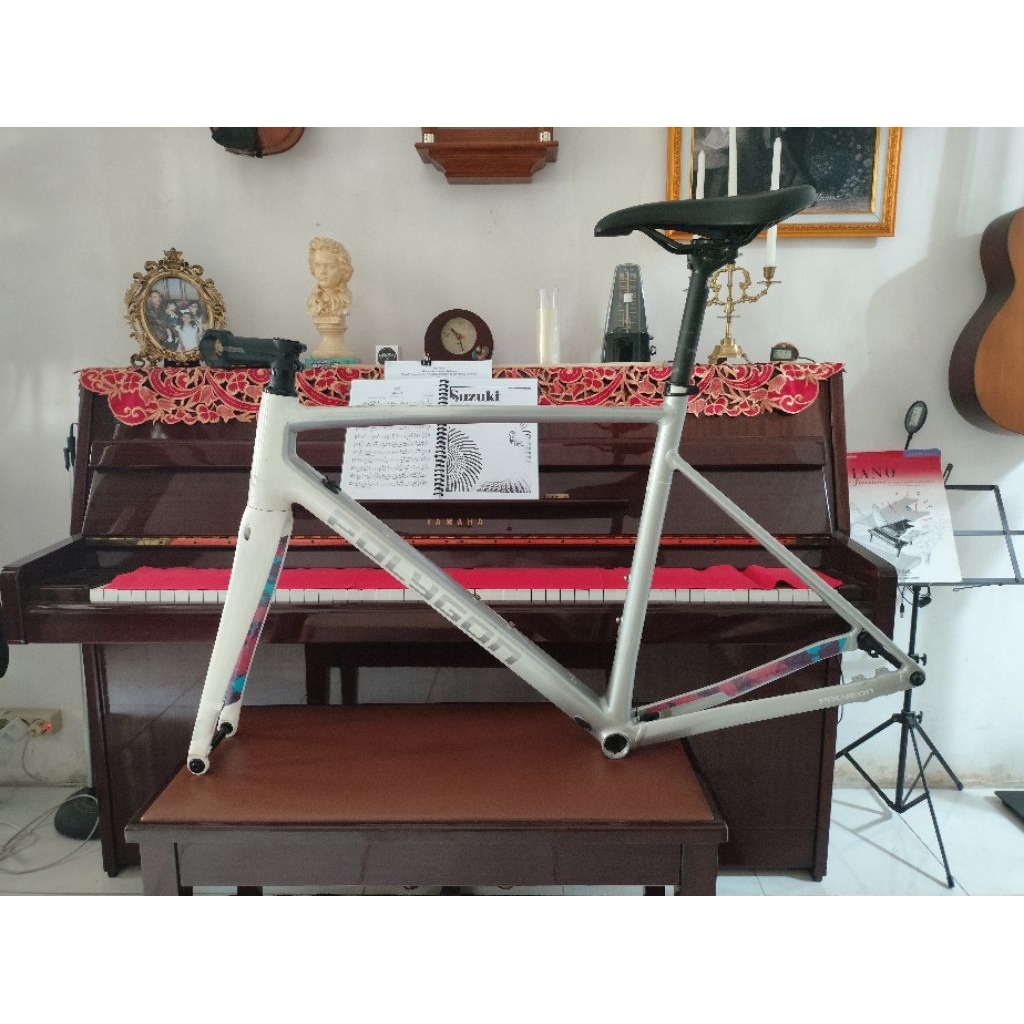 Frameset Polygon S5D 2022