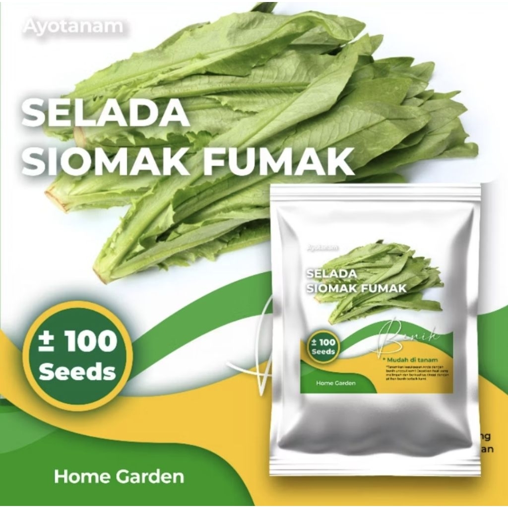 Benih Selada Siomak Fumak ± 100 Benih