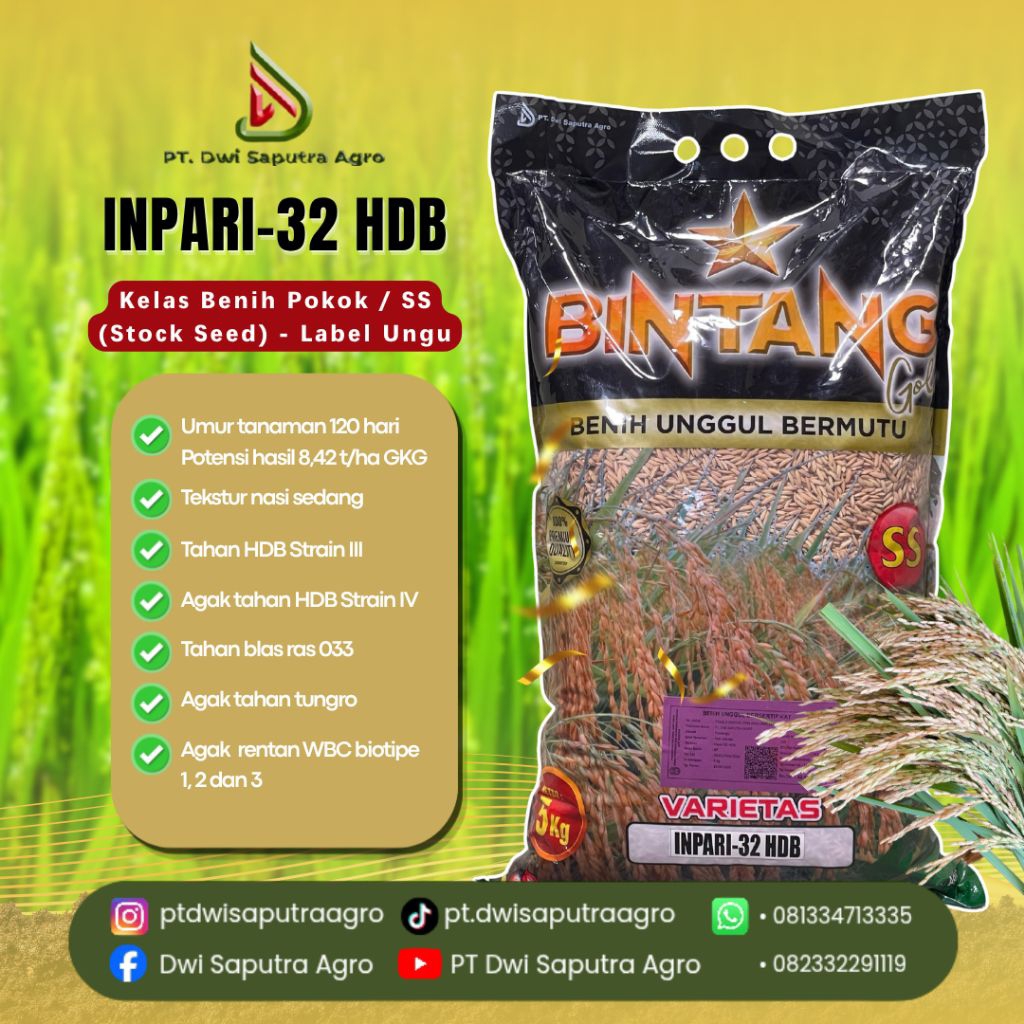 Benih Padi Cap Bintang Gold Varietas "Inpari-32 HDB" Kelas Benih Pokok / SS (Stock Seed) - [Label Un