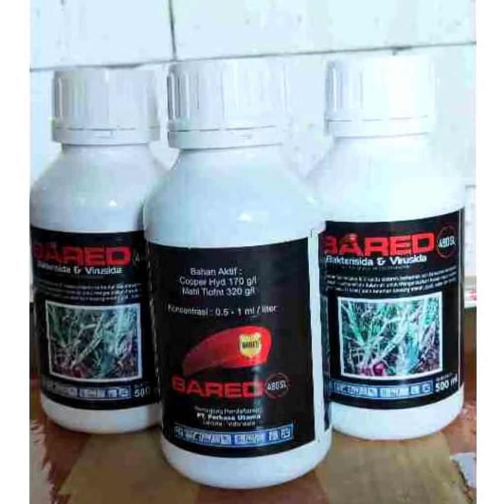 Bared Bakterisida 500ml - Formula Bakterisida & Virusida untuk Bawang Merah