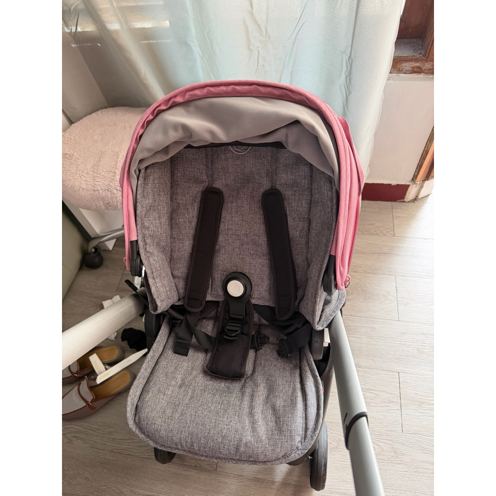 bugaboo ant