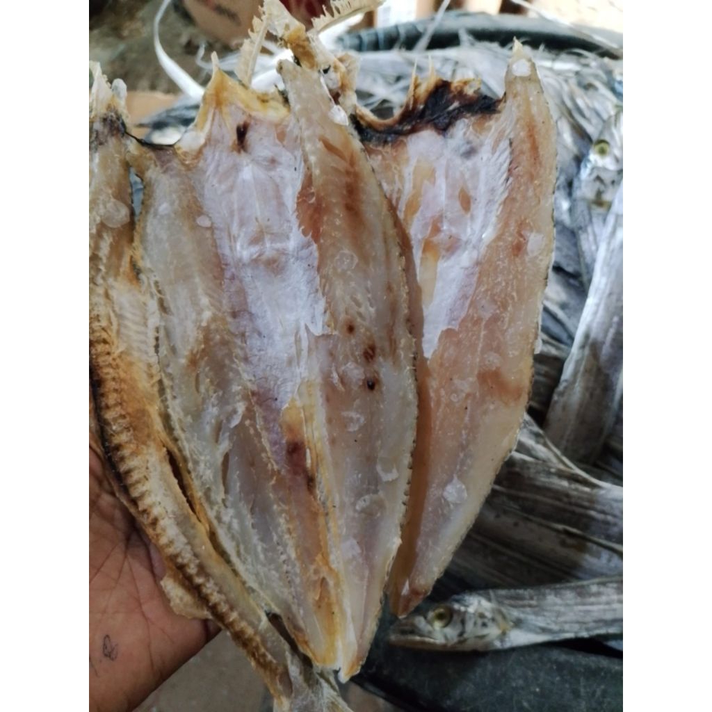 ikan kering bloso asin