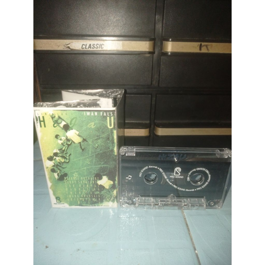 Kaset Pita Iwan fals - Hijau