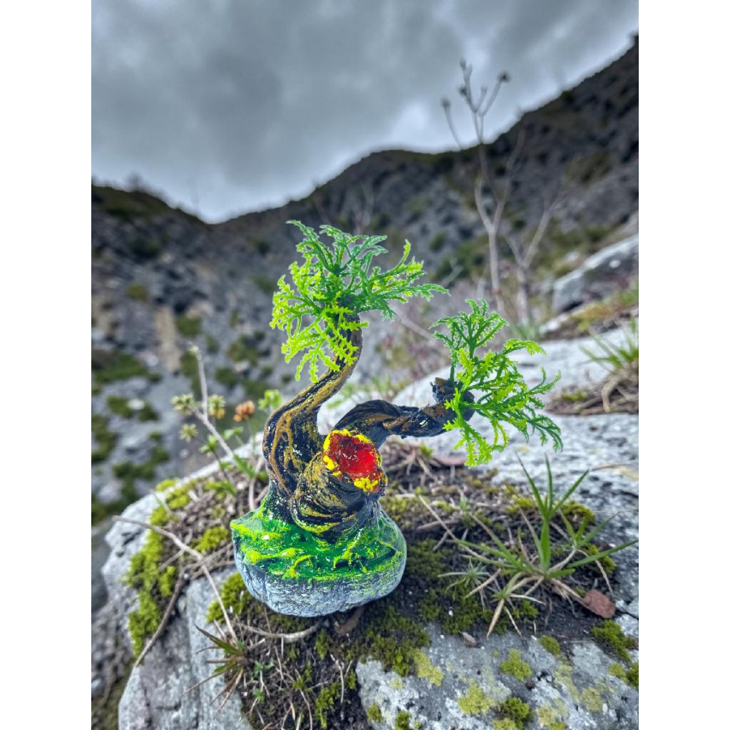 Bonsai Mini Estetik Grosir 10pcs Hiasan Akuarium