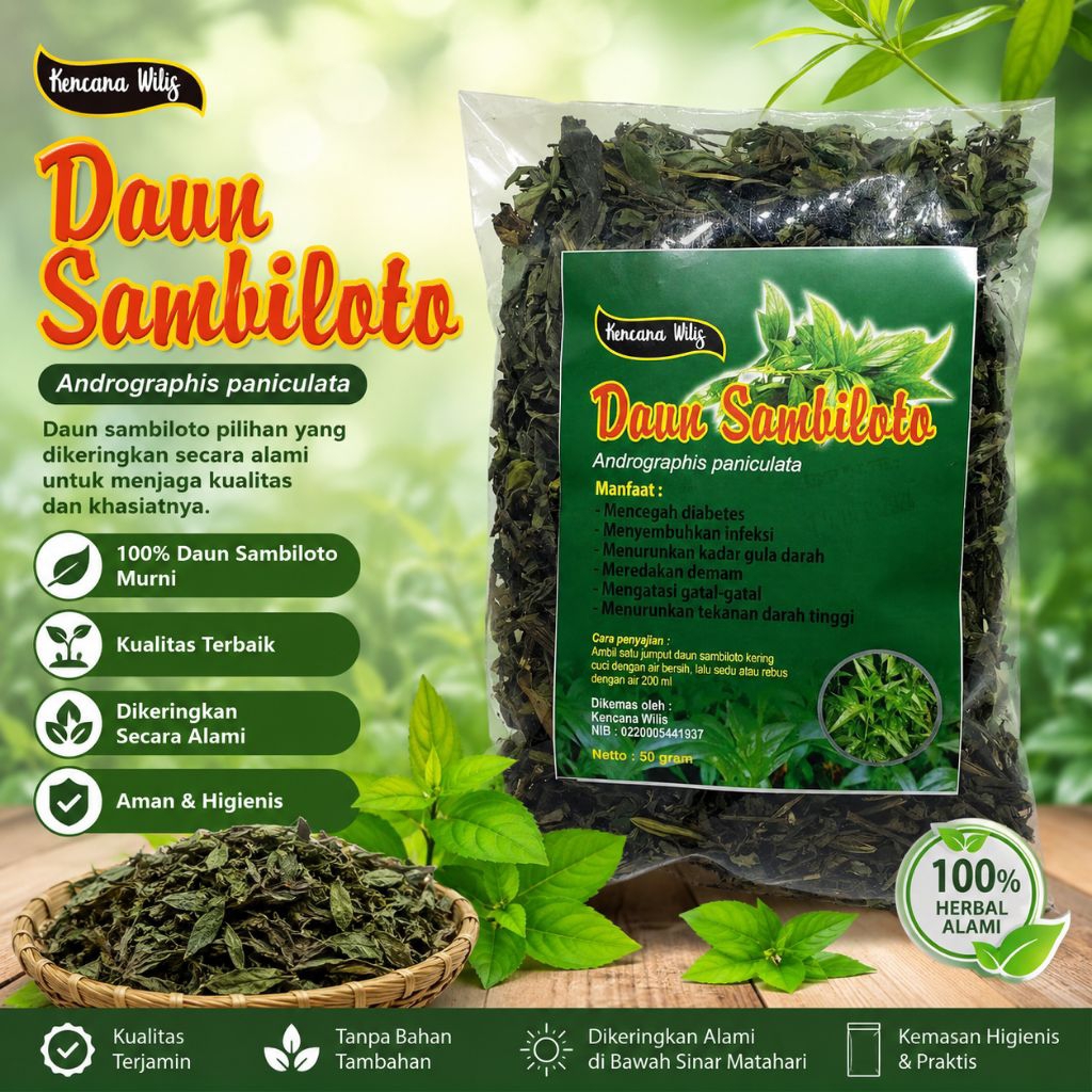 Daun sambiloto kering 100 gr - daun sambiloto berkualitas - sambiloto kering asli - teh sambiloto