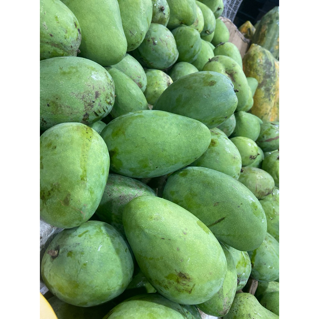 Mangga Gadung
