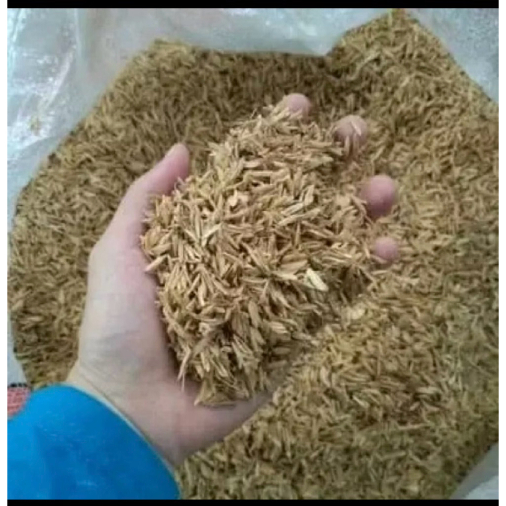 Sekam Padi Mentah 25kg - Premium Murni, Porous, Aerasi Baik