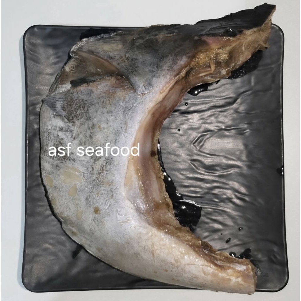 Rahang Ikan Tuna / Kama Natural