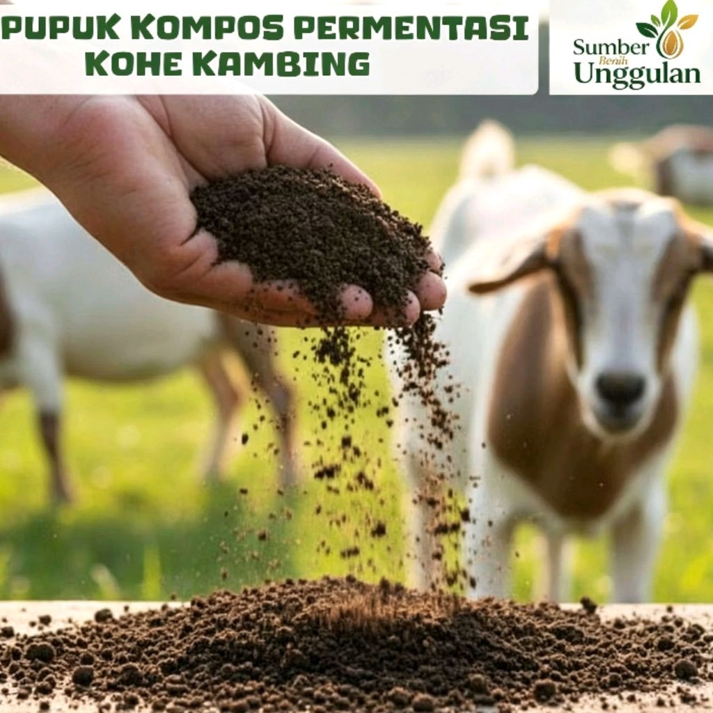 PUPUK KOMPOS KOHE KAMBING